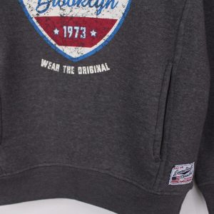 Attractive Grey Themed Hoodie For Boys